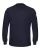 217261.webp