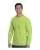 217393.webp