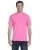 21806.webp