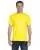 21808.webp