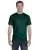 21810.webp