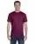 21816.webp