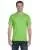 21817.webp