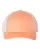 218202.webp