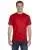 21822.webp