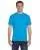 21824.webp
