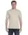 21825.webp