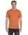 21828.webp