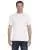 21831.webp