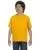 21838.webp