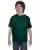 21840.webp