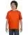 21842.webp