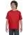 21843.webp