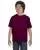 21847.webp