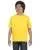 21848.webp