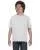 21849.webp