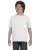 21850.webp