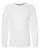 218513.webp
