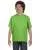 21853.webp