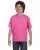 21854.webp