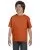 21855.webp