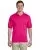 21887.webp