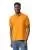 21895.webp