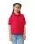 21900.webp