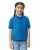 21901.webp