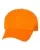 219588.webp