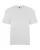 219737.webp