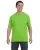 22091.webp