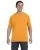 22109.webp