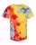 221831.webp