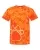 222705.webp