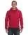 22404.webp
