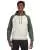 22449.webp