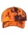 225637.webp