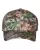 225638.webp