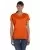 22703.webp