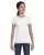 2288.webp