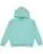 229.webp