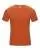 229841.webp