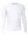 230003.webp