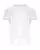 230039.webp