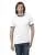 231765.webp