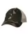 232282.webp