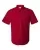 233909.webp