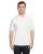 23416.webp