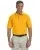 23431.webp